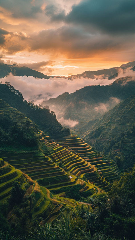 A beautiful terraced landscape in the Philippines at sunset, showcasing the stunning Banaue Rice Terraces with lush greenery and mist-covered mountains in the background. Philippines Best Places, Philippines Mountains, Beautiful Places In The Philippines, Aesthetic Philippines, Philippines Places, Philippines Nature, Philippines Aesthetic, Places In The Philippines, Beautiful Philippines