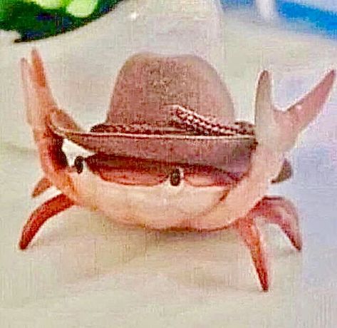 Animals With Hats, Cowboy Hat Drawing, Animals In Hats, Reaction Images, Cowboy Hat, Tattoo Inspo, Mood Pics, Crab, Goats