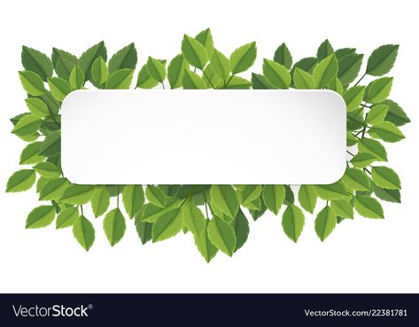 A green leaf banner Royalty Free Vector Image - VectorStock Leaf Banner, Photo Brush, Green Banner, Best Banner Design, Banner Illustration, Square Background, Green Leaf Background, Banner Image, Framed Leaves