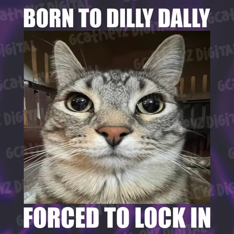 Born To Dilly Dally Forced To, Born To Be Forced To Be, Born To Dilly Dally, Born To Forced To, Rgb Background, Add Humor, Dilly Dally, Cat Png, Background Transparent