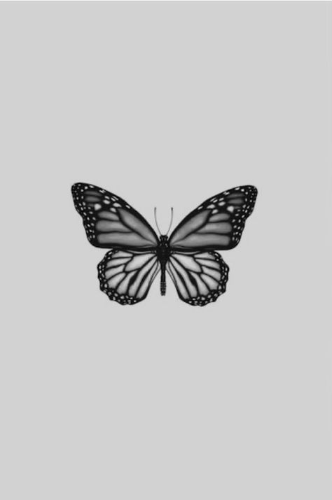 Black Grey Butterfly Tattoo, Gray Butterfly Aesthetic, Butterfly Pictures Black And White, Black And White Eyes Aesthetic, Black And Grey Monarch Butterfly Tattoo, Black And White Monarch Butterfly Tattoo, Grey Butterfly Aesthetic, Black And Gray Butterfly Tattoo, Grey Butterfly Wallpaper