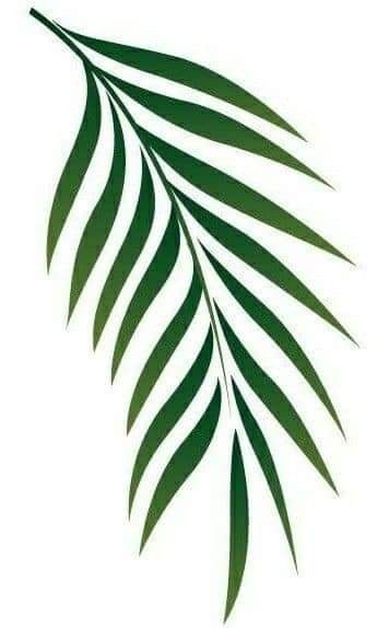 Tropical Leaves Drawing, Leaf Template Printable, Palm Frond Art, Floral Cards Design, Jungle Leaves, Flower Outline, Lion Canvas, Diy Wall Art Decor, Leaf Drawing