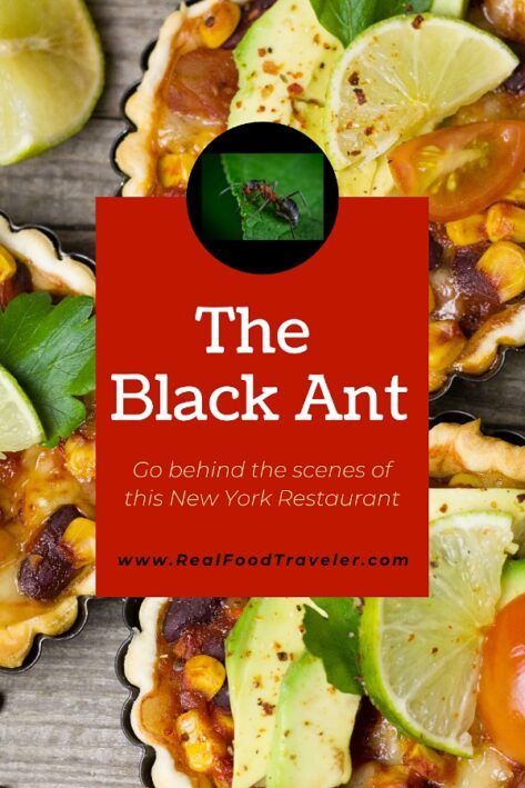 Learn more about the history and flavors of eating insects with this trendy New York restaurant. #EatInsects #EatBugs #CookingWithInsects #AntRestaurant #NewYorkRestaurants #FoodieTravel #CulinaryTravel #FoodMagazine #TravelMagazine African Shaman, Cheap Easy Meals, Low Carb Diets, Red Tea, Eat Smart, Keto Diet For Beginners, Hormone Balancing, Keto Dinner, Budget Meals