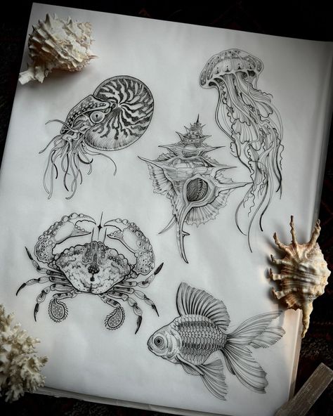 𝓐𝓷𝓴𝓪 𝓛𝓪𝓿𝓻𝓲𝓿 (@grlsnake_) • Instagram photos and videos Marine Illustration, Tattoo Female, Light Tattoo, Manga Tattoo, Jellyfish Tattoo, Tattoo Portfolio, Female Tattoo, April 25, Animal Tattoos