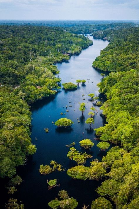 Amazon Forest, Shopping Malls, Gap Year, Beautiful Views, South America, Natural Beauty, Brazil, Beautiful Places, National Parks