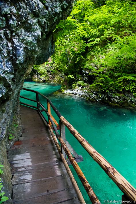 VINTGAR GORGE, SLOVENIA Triglav National Park, Slovenia Travel, Seni Cat Air, Green Water, Ljubljana, Green Trees, Macedonia, Pretty Places, Albania