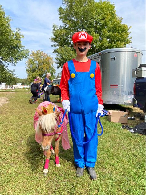 Princess Peach and Mario Princess Peach And Mario, Horse Costume, Horse Costumes, Mini Horse, Princess Peach, Mario, Horses