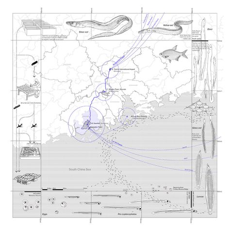 Arcade Architecture, Urban Drawing, Urban Mapping, Architecture Tools, Landscape Diagram, Landscape Architecture Diagram, Visual Map, Urban Analysis, Architecture Mapping