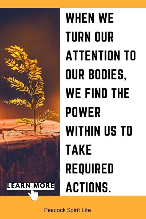 when we turn our attention to our bodies, we find the power within us to take required actions.
Click to learn more Solar Plexus Chakra Healing, Lost In Life, Joyful Life, Energy Healing Reiki, Inner Power, Body Healing, Solar Plexus Chakra, Solar Plexus, Root Chakra