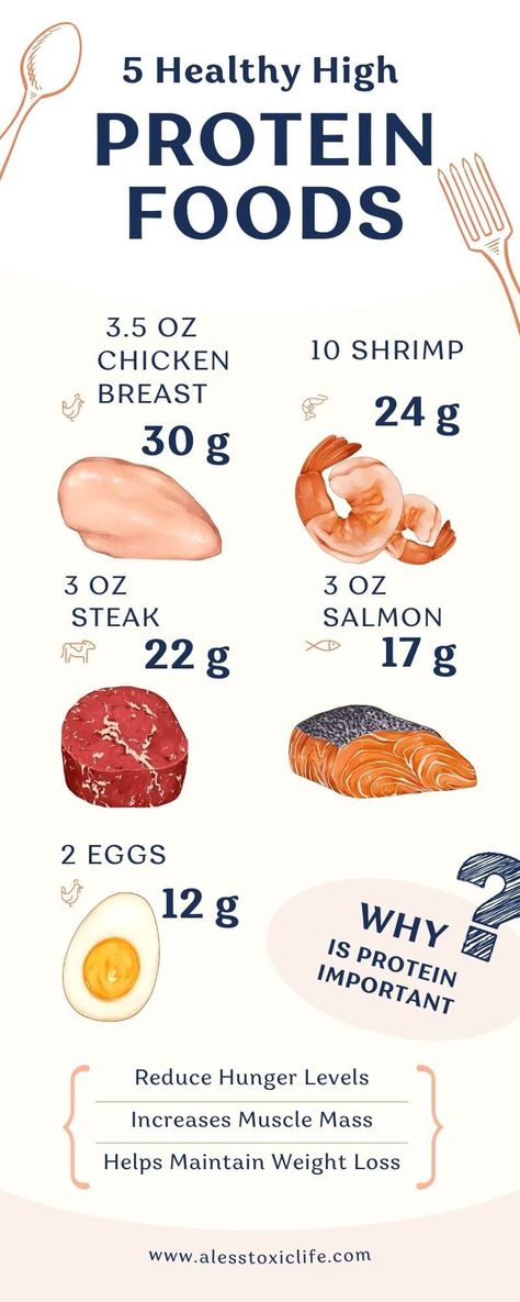 high protein foods Seafood Wellington, High Protein Foods, Brochure Food, Natural Health Supplements, Healthy High Protein Meals, Protein Rich Foods, Maintain Weight, High Protein Breakfast, Protein Diets