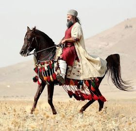 Persian Horse, Arabian Costumes, Arabian Horse Costume, The 3 Wise Men, Horse Conformation, Native Costume, Arabian Costume, Desert Horse, The Star Of Bethlehem