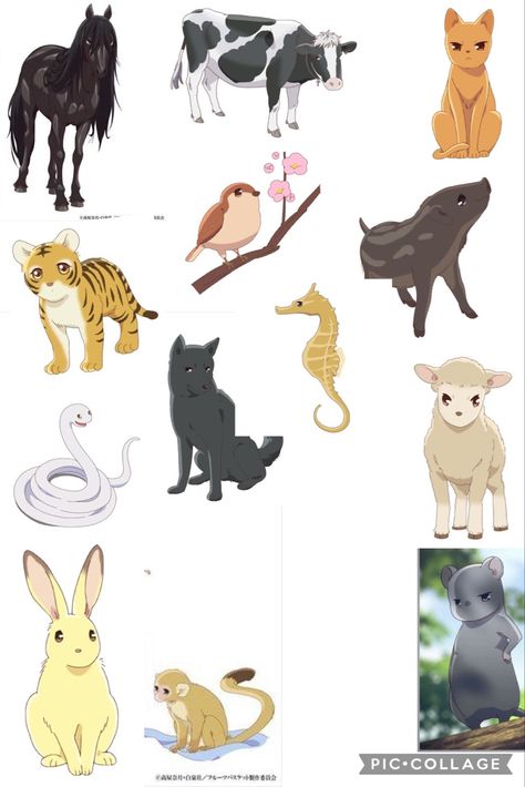 Fruits Basket Animal Form, Fruit Basket Zodiac Animals, Fruits Basket Animals, Fruits Basket Zodiac Animals, Fruits Basket Zodiac, Fruit Basket Drawing, Fruits Basket Quotes, Fish Project, Fruits Basket Kyo