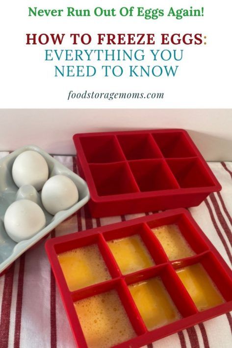 How to Freeze Eggs: Everything You Need to Know - Food Storage Moms How To Freeze Eggs, Freeze Eggs, Emergency Preparedness Food, Freezing Eggs, Amazing Food Hacks, Freezable Meals, Egg Storage, Survival Techniques, Frozen Veggies