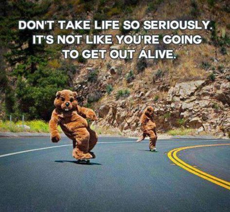 Life is short, so you might as well make it worth your while - 30 Pics Seriously Quotes, Seriously Meme, Boston Dynamics, Serious Quotes, Bear Costume, Ableton Live, Enjoy The Ride, What Makes You Happy, Getting Out