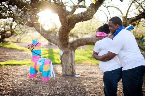 Outrageous gender reveal party ideas: A gender reveal pinata Gender Reveal Food, Gender Reveal Pinata, Gender Reveal Party Ideas, Reveal Party Ideas, Creative Gender Reveals, Gender Reveal Unique, Gender Reveal Announcement, Gender Reveal Photos, Pregnancy Gender Reveal