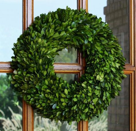 Source for reasonable preserved boxwood wreaths Boxwood Wreath Christmas, Boxwood Wreaths, Preserved Boxwood Wreath, Preserved Boxwood, Holiday Wreaths Christmas, Themed Gift Baskets, Boxwood Wreath, Design Palette, Year Round Wreath