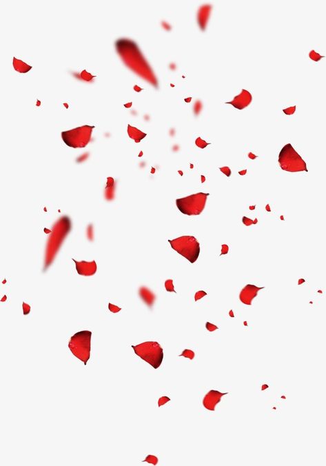 Rose Petals Background, Rose Falling, Falling Roses, Rose Overlay, Rose Petals Falling, Petals Falling, Valentines Day Border, Red Clipart, शटर स्पीड