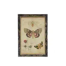 Framed Butterfly Wall Art, Butterflies Classroom, Framed Butterfly, Sign For Bedroom, Spring Wall Decor, Rustic Pictures, Butterfly Illustration, Butterfly Wall Decor, Dream Wall