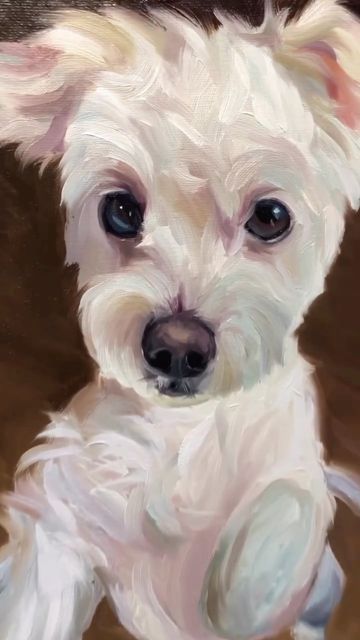 Marcelo Rochá • Oil Painter on Instagram: "TBT Nico's commissioned oil painting. So fun to paint fur white which is never actually white, it always has cool and warm undertones. . . . . #westie #westiegram #westiehighlandwhiteterrier #poodle #petportrait #petportraits #dogportrait #petpainting #petpaintings #oilpainting #portraitpainting #petoilpainting #paintings #paintingprocess #artlover #comtemporaryart" White Dog Painting Acrylic, Popcorn Painting, White Dog Painting, Painters Tape Art, Dog Drawing Tutorial, Cool And Warm Tones, Dog Watercolor Painting, Pet Portrait Paintings, Dog Portraits Painting