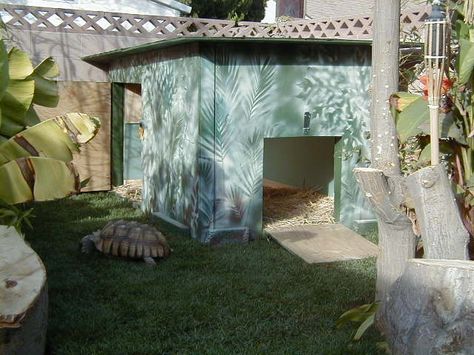 Great plan for a tortoise shelter Big Tortoise, Russian Tortoise Diet, Tortoise House, Tortoise Enclosure, Leopard Tortoise, Russian Tortoise, Tortoise Care, Tortoise Habitat, Baby Tortoise