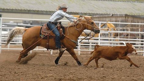 Team Roping Aesthetic, Breakaway Roping Quotes, Matt Painting, Breakaway Roping, Walk Ride Rodeo, Western Horse Riding, Calf Roping, Western Horses, Professional Bull Riders