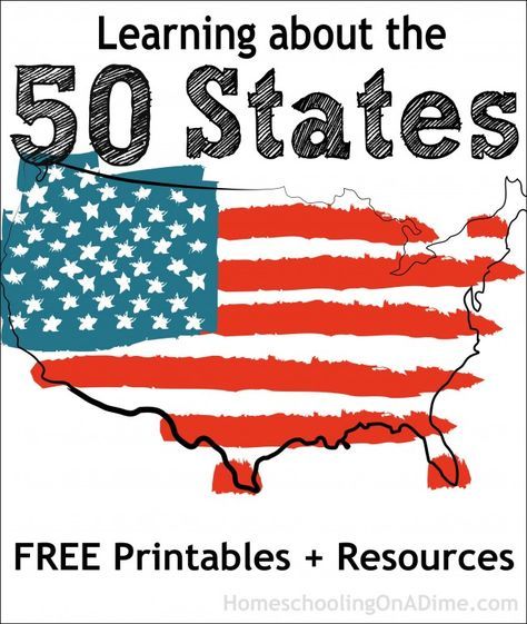 FREE 50 States Printables, Freebies and Resources 50 States Activities, History Interactive Notebook, Us Geography, Social Studies Education, Social Studies Notebook, Free Homeschool Curriculum, American History Lessons, States And Capitals, Teaching Geography