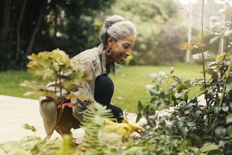 10 In-Season Gardening Chores You Should Be Doing Every Week || These essential tasks will keep your garden growing strong and healthy all season. https://www.bobvila.com/slideshow/10-in-season-gardening-chores-you-should-be-doing-every-week-580096 Sixty And Me, Benefits Of Gardening, Growing Strong, Video Garden, Mid Summer, Living Modern, Ageless Beauty, Community Gardening, Aging Gracefully