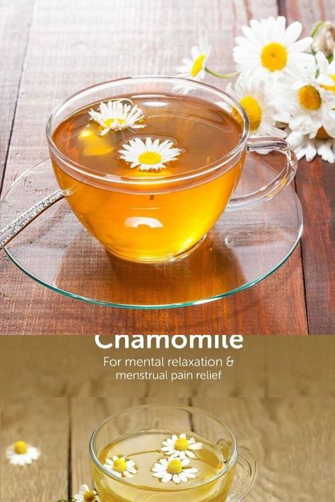 Benefits of Chamomile Tea
What is Chamomile Tea?
Origin of Chamomile Tea
History of Chamomile Tea
Chamomile Tea’s Nutritional Value
Side effect of Chamomile Tea Benefits Of Chamomile Tea, Benefits Of Chamomile, Chamomile Tea Benefits, Menstrual Pain Relief, Tea History, Menstrual Pain, Chamomile Tea, Nutritional Value, Side Effects