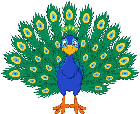 Cartoon beautiful peacock Seal Cartoon, Peacock Vector, Crocodile Illustration, Deer Cartoon, Peacock Images, Cartoon Turtle, Branch Vector, Cartoon Monkey, Scrapbook Clipart