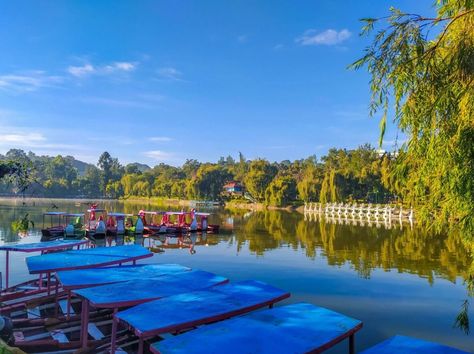 Burnham Park is a 32.84-hectare urban park in Baguio City, Philippines. It is one of the most popular tourist destinations in the city, and is known for its beautiful scenery, its cool climate, and its variety of activities. Traveling to Burnham Park Baguio for the first time? This detailed and curated travel guide will make it easy The post Burnham Park: A Beautiful And Serene Oasis In The Heart Of Baguio appeared first on Shellwanders. Baguio City Burnham Park, Burnham Park Baguio, Burnham Park, Baguio City Philippines, Baguio Philippines, Tacloban City, Baguio City, Artificial Lake, Cebu City