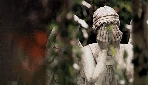 Garden Art Sculptures Statues, Daella Targaryen, 444 Meaning, Weeping Angels, Era Victoria, Angel Cards Reading, Weeping Angel, Angel Books, Targaryen Aesthetic