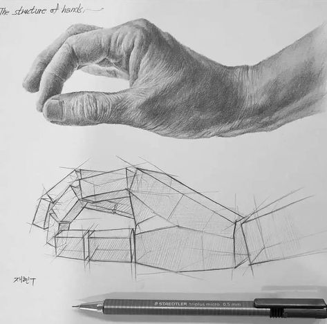 Realistic Hand Drawing, Structural Drawing, Human Anatomy Art, Anatomy Sketches, Perspective Art, Basic Drawing, Still Life Drawing, Anatomy Drawing, Pencil Art Drawings