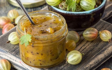 Gooseberry Compote, Gooseberry Chutney, Gooseberry Recipes, Rhubarb Chutney, Newfoundland Recipes, Compote Recipe, Chutney Recipes, Wild Food, Classic Food