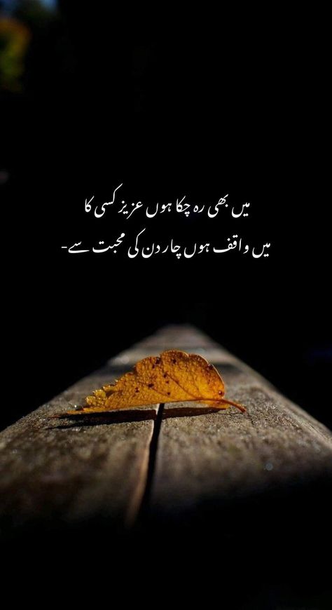 Book Quotes In Urdu, Deep Lines In Urdu, Breakup Dp, Breakup Dp Photo, Poetry Tips, Miss You Mom Quotes, Sister Songs, Cute Poetry, Love Shayari Romantic