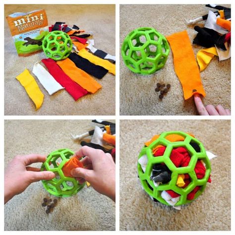 Brain Games For Dogs, Diy Dog Toys, Dog Enrichment, Dog Games, Dog Puzzles, Dog Brain, Dog Ball, Dog Clothes Patterns, Interactive Dog Toys