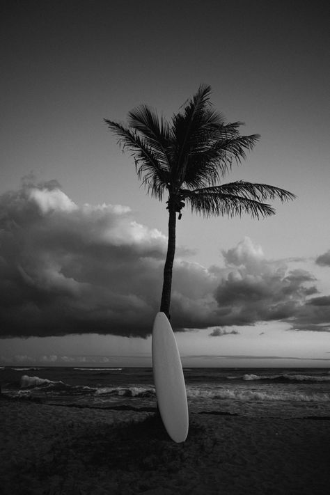 Aesthetic Surfboard, Dark Beach Aesthetic, Trees Aesthetic, Beach Nights, Palm Tree Pictures, Dark Beach, Surf Aesthetic, Black And White Photo Wall, Beach Night