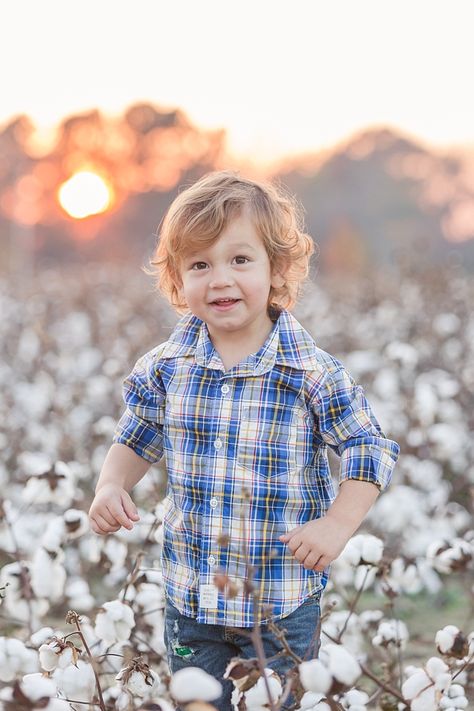 Cotton Field Photoshoot, Cotton Field Photography, Cotton Photography, Field Pictures, Easter Mini Session, Field Photos, Holly Springs Nc, Field Photoshoot, Rustic Photography