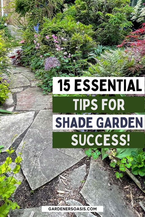 15 Essential Tips For Shade Garden Success Shade Garden Design Layout, Part Shade Plants, Shade Gardening, Japanese Tree, Full Sun Plants, Short Plants, Invasive Plants, Perennial Shrubs, Evergreen Plants