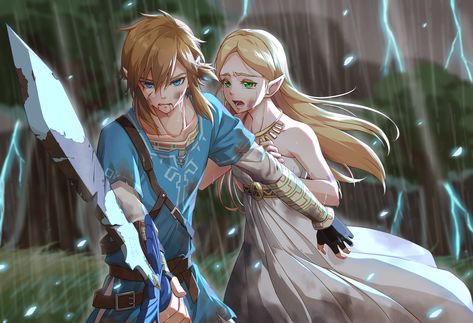 Link and Zelda, by Pixiv Id 8515206 Ocarina Of Times, Legend Of Zelda Memes, Princesa Zelda, Link Zelda, Wind Waker, Zelda Art, Legend Of Zelda Breath, Zelda Breath, Twilight Princess