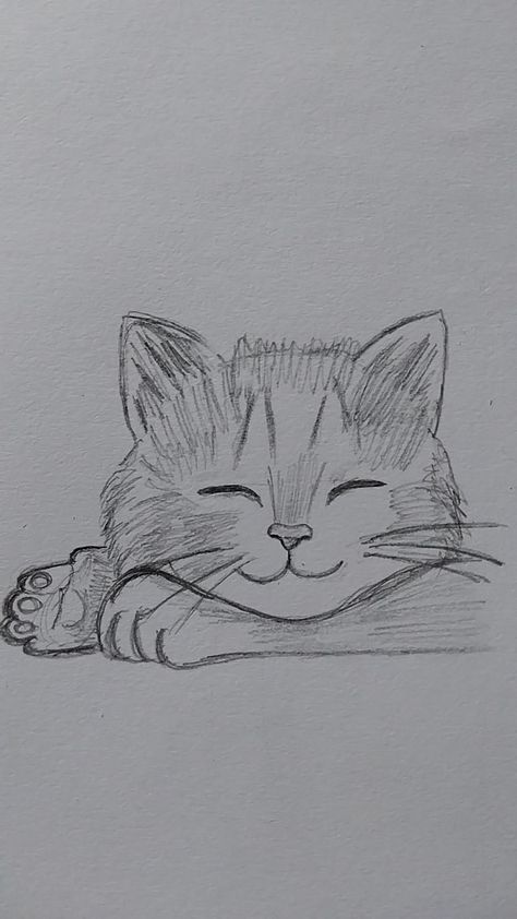 #cat #sketch #drawing #aesthetic Cat Asthetics Drawings, Cat Sketch Aesthetic, Sketch Aesthetic, Pencil Drawings Of Animals, Cat Sketch, Aesthetic Cat, Pretty Drawings, Fluffy Cat, Cat Aesthetic