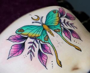 Moth Chest Tattoo, Luna Moth Tattoo, Liverpool Tattoo, Amazing 3d Tattoos, Los Angeles Tattoo, Miami Tattoo, Concord Nh, Special Tattoos, Explore Tattoo