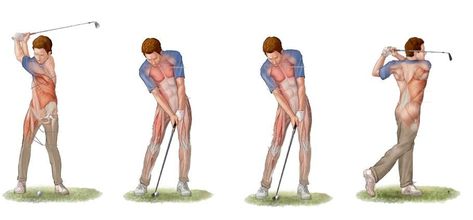 Stretching for Golfers | Dynamic Golfers Dynamic Stretching Exercises, Stretching Program, Dynamic Stretching, Pelvic Tilt, Tight Hip Flexors, Tight Hips, Certified Personal Trainer, Golf Lessons, Hip Flexor