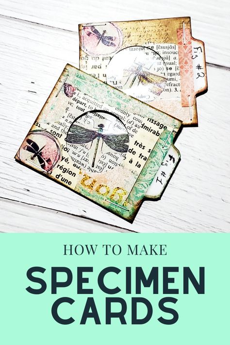 Printable Specimen Cards, How To Make Specimen Cards, Specimen Card Template, Junk Journal Specimen Cards, Free Printable Specimen Cards, Specimen Cards Diy, Altered Cards Ideas, Junk Journal Ideas Inspiration Tim Holtz, Junk Journal Inserts Diy