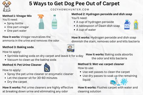 This article will show you step-by-step how to get dog pee out of carpet using four different methods with bonus tips on how to prevent your dog from peeing on the carpet. Keep reading! Dog Pee Smell Out Of Carpet Diy, Pet Stains Out Of Carpet Urine Smells, How To Clean Dog Pee Out Of Carpet, How To Get Dog Pee Out Of Carpet, How To Get Rid Of Dog Pee Smell Carpet, How To Get Pee Smell Out Of Carpet, Dog Urine Smell Out Of Carpet, Dog Pee Smell Out Of Carpet, Dog Pee Out Of Carpet