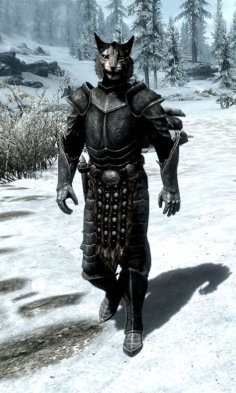 Kharjo is a Khajiit warrior found traveling alongside Ahkari. He, along with Dro'marash, works as a guard protecting Ahkari and Zaynabi. As a member of the Khajiit Caravans, Kharjo travels the many trade routes of Skyrim. When dismissed from being a follower by the Dragonborn, he returns to the caravans. The caravan travels between Dawnstar and Riften, sometimes passing through the Labyrinthian. Waiting outside the gates of a city prompts them to appear at least once a week. Skyrim Nord, Skyrim Races, Skyrim Mage, Dnd Tabaxi, Dragonborn Skyrim, Skyrim Armor, Dwarven City, Skyrim Funny, Scrolls Game