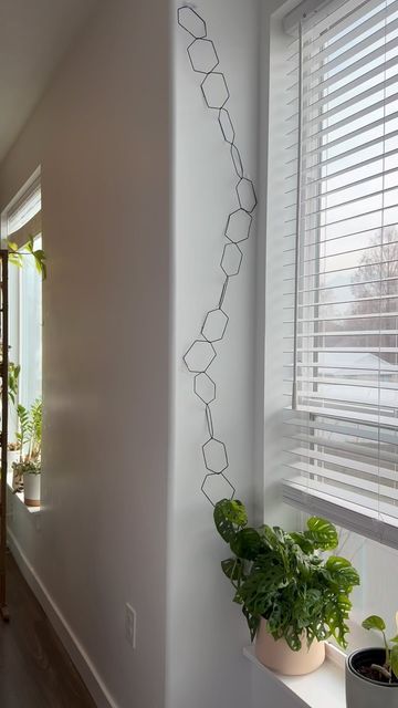 Wall Trellis, Patio Flowers, Diy Chain, Indoor Flowers, December 19, Diy Hanging, The Ceiling, Plant Design, Hanging Plants