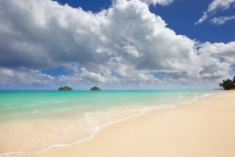 Things To Do In Honolulu, Oahu Activities, Things To Do On Oahu, Hawaii Magazine, Oahu Beaches, Kailua Beach, Lanikai Beach, Nature Posters, Honolulu Hawaii