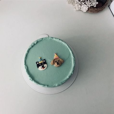 Green Cake Design, Doggie Cake, Korean Cake, Cute Baking, Simple Birthday Cake, Dog Cake, Cute Birthday Cakes, Simple Green, Cute Desserts