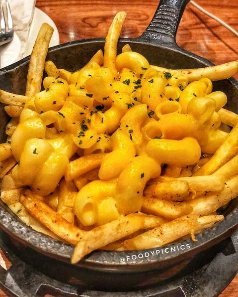 FOODIIIES FAMMM 🤑 on Instagram: “Good Ol’ MAC N CHEESE 🧀❤️ House fries topped with classic cheesy macaroni and cheddar. . 📍: The Irish house, Connaught place, New delhi…” Mac And Cheese Fries, Fancy Mac And Cheese, Cheese House, Cheesy Fries, Cheesy Macaroni, Irish Houses, Connaught Place, Baked Mac, Cheese Fries