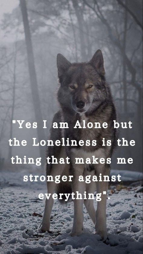 Wolf Pack Quotes, Lone Wolf Tattoo, Inspirational Animal Quotes, Demonic Quotes, Lone Wolf Quotes, Wolf Quotes, She Wolf, Wolf Pictures, Wolf Spirit